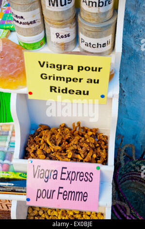 Viagra di erbe per gli uomini e per le donne, il mercato delle spezie, Mellah, quartiere ebraico, Essaouira Costa Atlantica, Marocco, Africa settentrionale Foto Stock