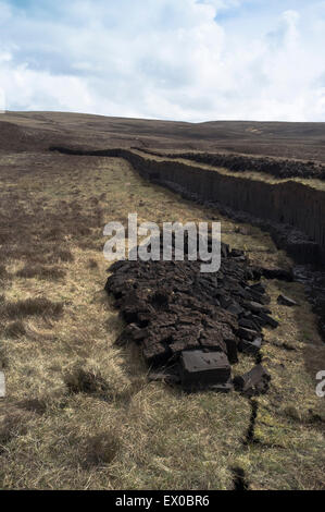 Dh banca torba torba UK Cut torbiera uk torba scozzese di taglio peatland carburante del fondo erboso Foto Stock