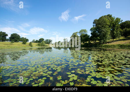 Staunton Harold serbatoio nel Leicestershire, England Regno Unito Foto Stock