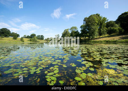 Staunton Harold serbatoio nel Leicestershire, England Regno Unito Foto Stock