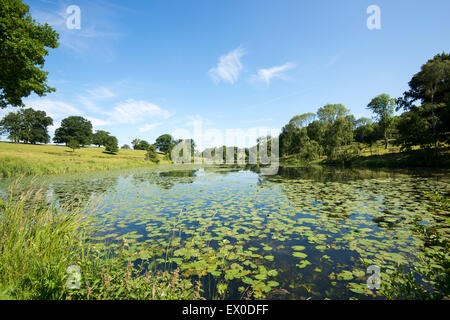 Staunton Harold serbatoio nel Leicestershire, England Regno Unito Foto Stock