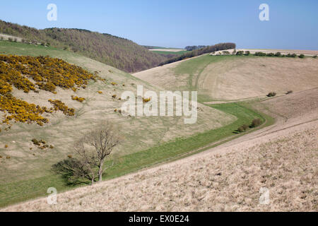 Luminosa giornata di primavera a Frendal Dale e la sua giunzione con Tun Dale, nel Yorkshire Wolds vicino Huggate, East Yorkshire, Regno Unito Foto Stock