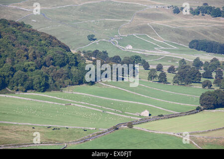 Mosaico di campi e stalattite pareti vicino al villaggio di Arncliffe, Littondale, Yorkshire Dales, REGNO UNITO Foto Stock