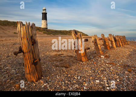 Le difese del mare lungo la spiaggia e una vista verso il faro spurn a disprezzare il punto, Humberside, East Yorkshire, Regno Unito Foto Stock