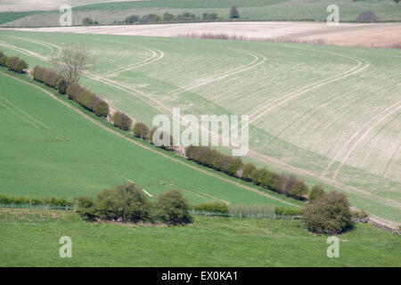 Vista su terreni agricoli al di sopra del villaggio di Thixendale nel Yorkshire Wolds, East Yorkshire, Regno Unito Foto Stock