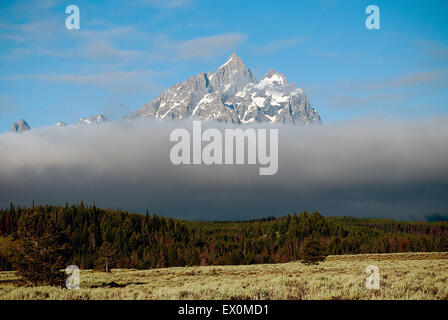 Early Morning mist si deposita sul fondo valle al di sotto del Grand Teton in Grand Teton National Park, Jackson, Wyoming. Foto Stock