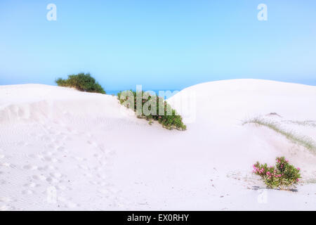 Spiaggia di Patara, Lycia, Kalkan, Antalya, Turchia Foto Stock