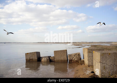 WW2 anti-invasione di blocchi in calcestruzzo accanto al fiume Deben, Bawdsey traghetto, Suffolk, Regno Unito. Foto Stock