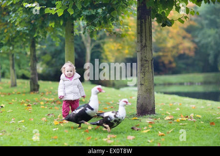 Funny little Baby girl giocare con anatre selvatiche in un bellissimo parco di autunno Foto Stock