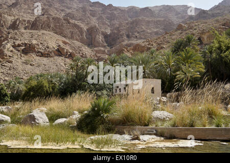 Casa e palme da dattero nel Wadi Tiwi, Sultanato di Oman Foto Stock