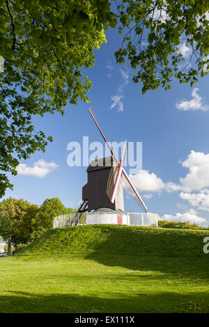 Mulino Koelewei, Bruges, Belgio Foto Stock