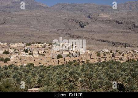 Villaggio Al-Hamra, data palm oasis e montagne Hajar, Sultanato di Oman Foto Stock