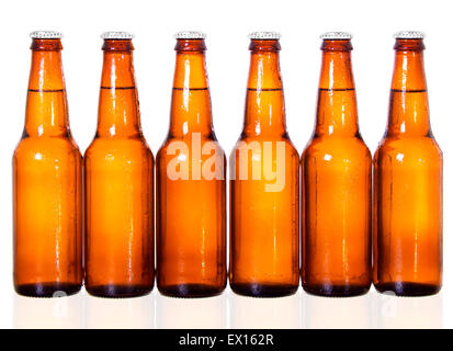 Immagine di stock di sei di birra scura bottiglie su sfondo bianco con la riflessione sul fondo Foto Stock