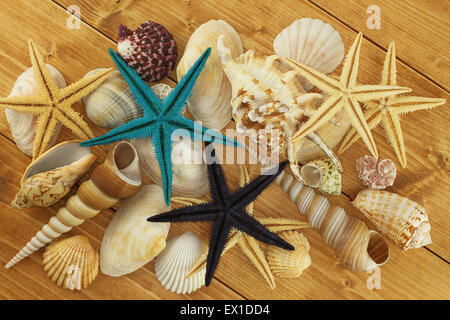 Conchiglie di mare e Starfishes marrone su sfondo di legno Foto Stock