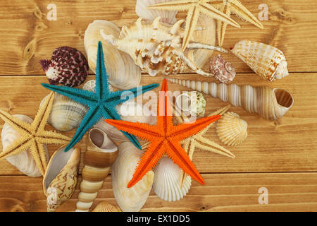 Conchiglie di mare e Starfishes marrone su sfondo di legno Foto Stock