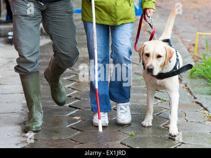 Una persona cieca è guidato dal suo golden retriever cane guida durante l'ultimo allenamento per il cane. I cani vengono sottoposti a vari tr Foto Stock