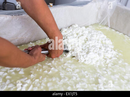 Una donna che lavora in una piccola famiglia creamery è la miscelazione di una partita di formaggio. Il caseificio è specializzata in buffalo yogurt e formaggio Foto Stock