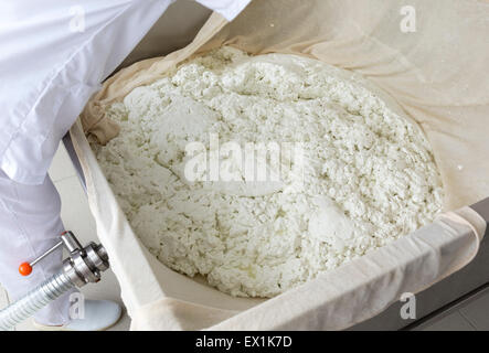 Una donna che lavora in una piccola famiglia creamery è in fase di elaborazione le fasi finali di fabbricazione di una partita di formaggio. Il caseificio è specializzata Foto Stock