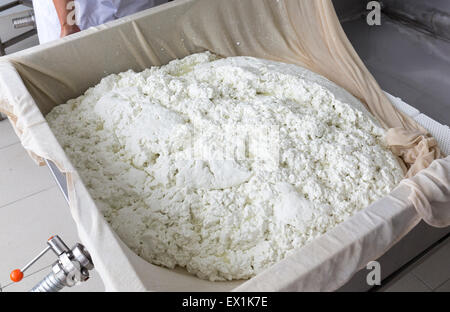 Una donna che lavora in una piccola famiglia creamery è in fase di elaborazione le fasi finali di fabbricazione di una partita di formaggio. Il caseificio è specializzata Foto Stock