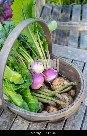 Harvest collezione primavera verdure coltivate home estate Foto Stock