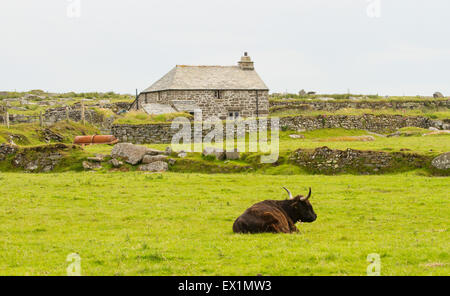 Medico Dwight Enys farm, riprese posizione su Bodmin Moor Foto Stock