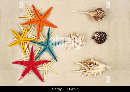 Verniciato colorato Starfishes e conchiglie di mare sulla luce di sabbia grigia Foto Stock