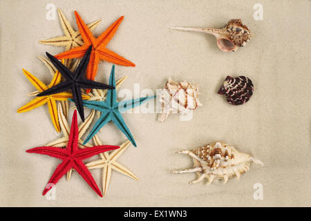 Verniciato colorato Starfishes e conchiglie di mare sulla luce di sabbia grigia Foto Stock