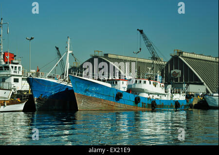 Industria della lavorazione del pesce, porti globali, bei riflessi, barche da pesca al molo, porto di Durban, KwaZulu-Natal, Sudafrica, paesaggio urbano Foto Stock