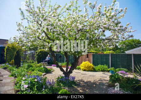 Un anziano gentiluomo si siede su una panchina per ammirare i fiori di primavera nel suo giardino, Somerset, Inghilterra, Regno Unito Foto Stock