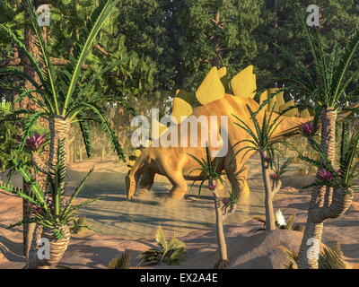 Un dinosauro stegosaurus acqua potabile in uno stagno tra wollemia e williamsonia alberi - 3D render Foto Stock