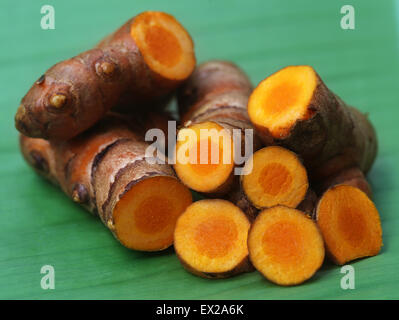 Close up soem curcuma sulla superficie di foglia Foto Stock