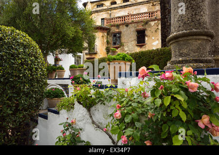 Rosaio nel Forestier giardino di sbriciolamento re moresco casa a RONDA Spagna Foto Stock