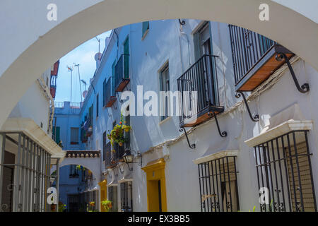 Tipico di windows con griglie e fiori decorativi nella città di Cordoba, Spagna Foto Stock