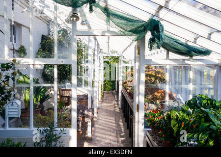 Walmer Castle Garden in Kent England. Vista attraverso serra, serra, da una porta lungo la passerella con piante su un lato di estremità aperta della porta. Foto Stock