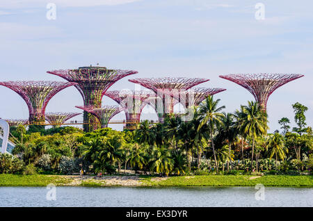 Supertrees, giardini dalla baia, Singapore, Indonesia Foto Stock