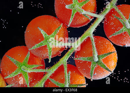 Pomodori freschi in acqua isolati su sfondo nero Foto Stock