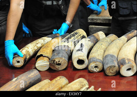 Bangkok, Tailandia. 6 Luglio, 2015. Thai i doganieri visualizzare confiscato il contrabbando di elefante africano zanne prima di una conferenza stampa presso il dipartimento doganale a Bangkok, Thailandia, Luglio 6, 2015. Le Autorità thailandesi hanno sequestrato più di 100 pezzi di contrabbando di avorio zanne, del peso di circa 250 kg con un valore stimato di 10 milioni di baht tailandese (circa 295,500 dollari USA). Credito: Rachen Sageamsak/Xinhua/Alamy Live News Foto Stock