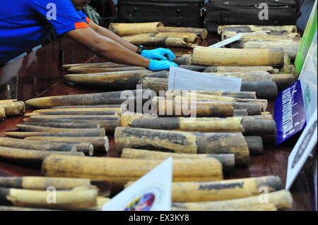 Bangkok, Tailandia. 6 Luglio, 2015. Thai i doganieri visualizzare confiscato il contrabbando di elefante africano zanne prima di una conferenza stampa presso il dipartimento doganale a Bangkok, Thailandia, Luglio 6, 2015. Le Autorità thailandesi hanno sequestrato più di 100 pezzi di contrabbando di avorio zanne, del peso di circa 250 kg con un valore stimato di 10 milioni di baht tailandese (circa 295,500 dollari USA). Credito: Rachen Sageamsak/Xinhua/Alamy Live News Foto Stock