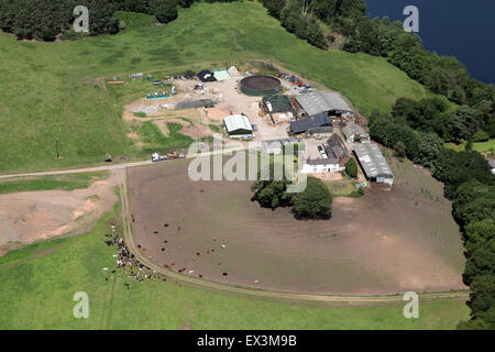 Vista aerea di Cheshire dairy farm con le mucche e fabbricati agricoli, REGNO UNITO Foto Stock