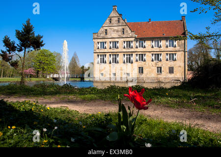 DEU, in Germania, in Renania settentrionale-Vestfalia, regione Muensterland, moated castle Huelshoff in Havixbeck [luogo di nascita della poetessa Annet Foto Stock