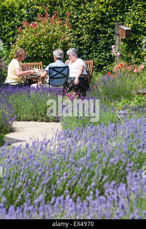 I visitatori potranno gustare il tè pomeridiano presso la New Forest Lavender Farm, Landford, Salisbury, Wiltshire UK nel mese di luglio Foto Stock