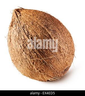 Il cocco isolati su sfondo bianco. Foto Stock