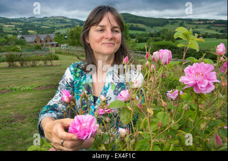 Petali di valle distillare rosewater da rose in giardino per il cibo,salute e prodotti di bellezza con il proprietario desdemona freeman. Foto Stock