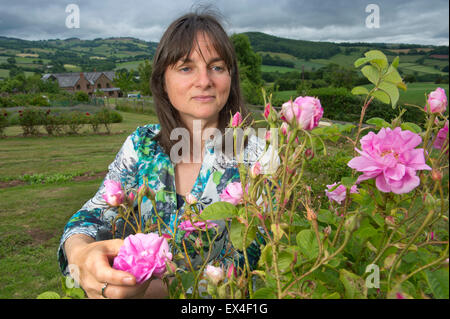 Petali di valle distillare rosewater da rose in giardino per il cibo,salute e prodotti di bellezza con il proprietario desdemona freeman. Foto Stock