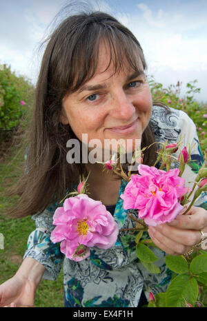 Petali di valle distillare rosewater da rose in giardino per il cibo,salute e prodotti di bellezza con il proprietario desdemona freeman. Foto Stock