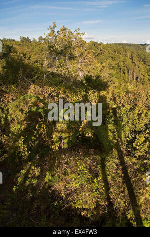 Vista verticale da un belvedere in Topes de Collantes Parco Nazionale di Cuba. Foto Stock