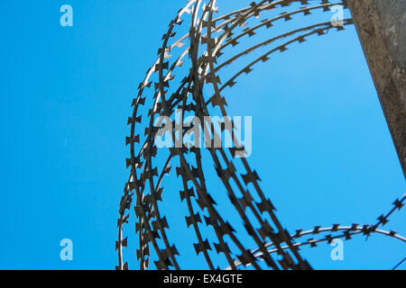 Bobina di filo spinato su una recinzione di cemento con blue sky closeup Foto Stock