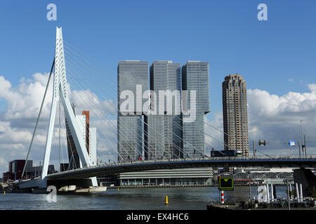 Il ponte di Erasmus di Rotterdam, Paesi Bassi. Il ponte si erge dal Wilhemina Pier e il De Rotterdam edificio. Foto Stock