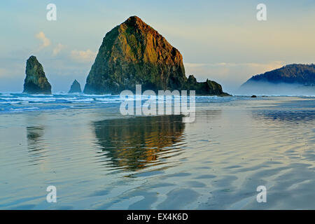 Haystack Rock riflessa su acqua e ondulazioni, Cannon Beach, Oregon, Stati Uniti d'America Foto Stock