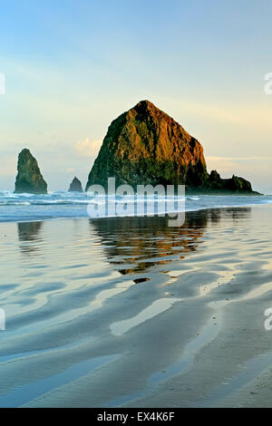 Haystack Rock riflessa su acqua e ondulazioni, Cannon Beach, Oregon, Stati Uniti d'America Foto Stock